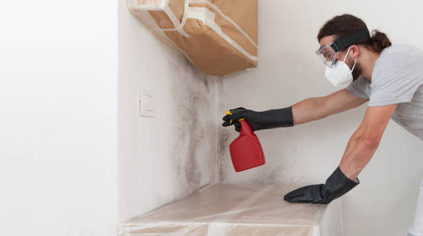 Professional Bathroom Mold Removal technician working in Concord, MA