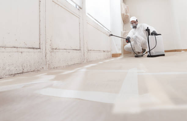 24/7 Emergency Bathroom Mold Removal experts in Concord, MA